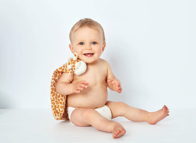 Giraffe Lovey