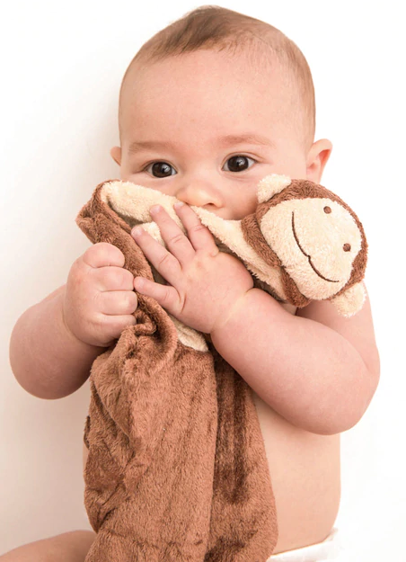Brown Monkey Lovey