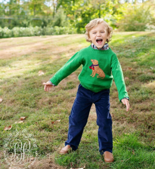 Isaac's Intarsia Sweater | Kiawah Kelly Green with Dog