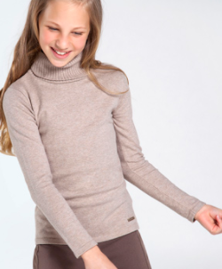 Stone Knit Turtleneck