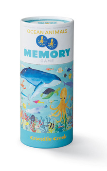 Canister Memory Game