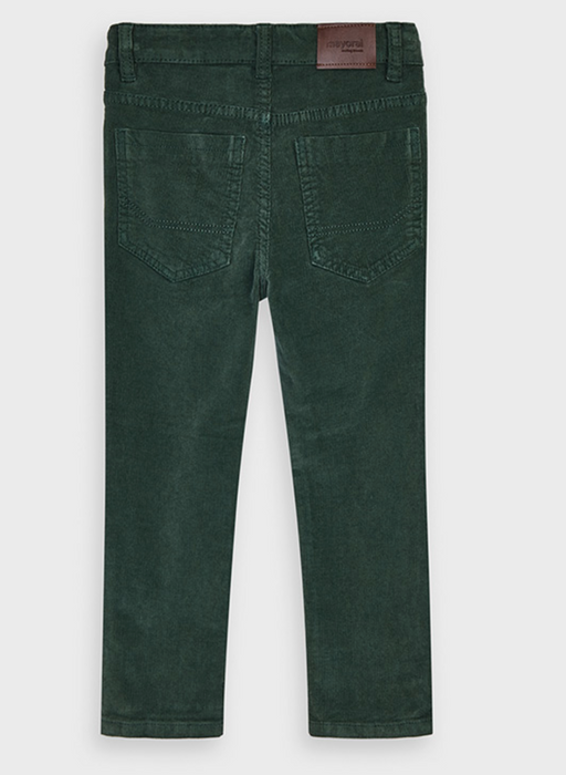 Pine Corduroy Slim Fit Boy Pants (537)
