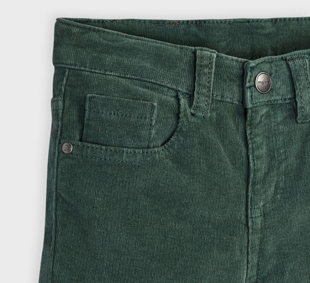 Pine Corduroy Slim Fit Boy Pants (537)