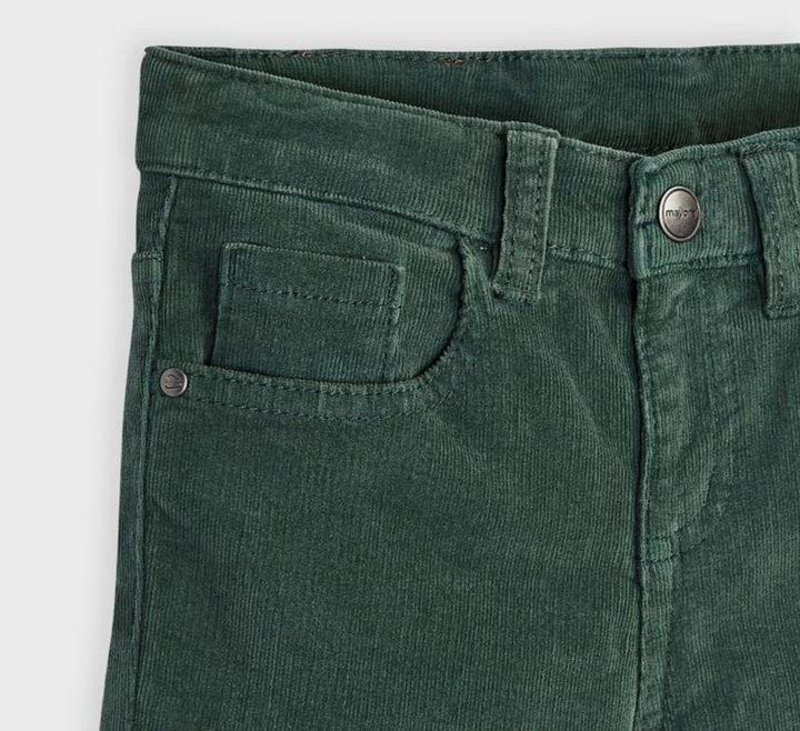 Pine Corduroy Slim Fit Boy Pants (537)