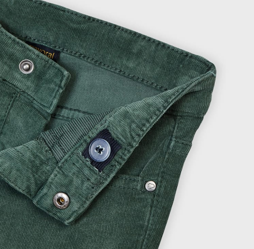 Pine Corduroy Slim Fit Boy Pants (537)