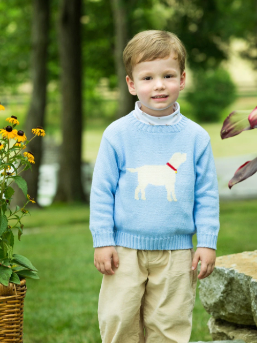 Lab Intarsia Sweater - Blue