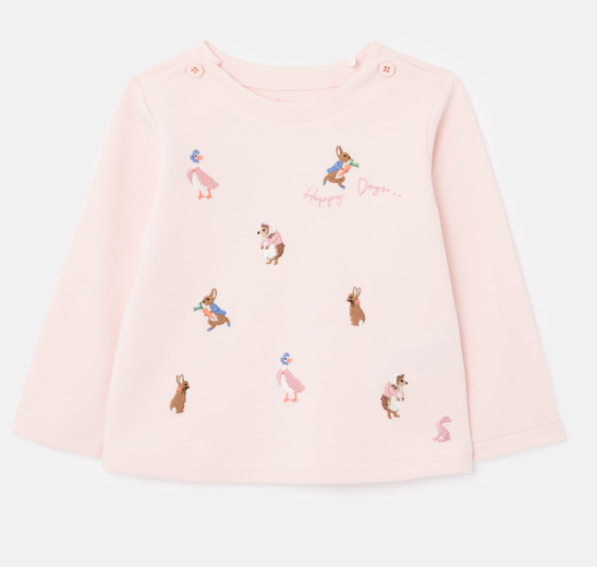 Peter Rabbit Harriet Artwork Top