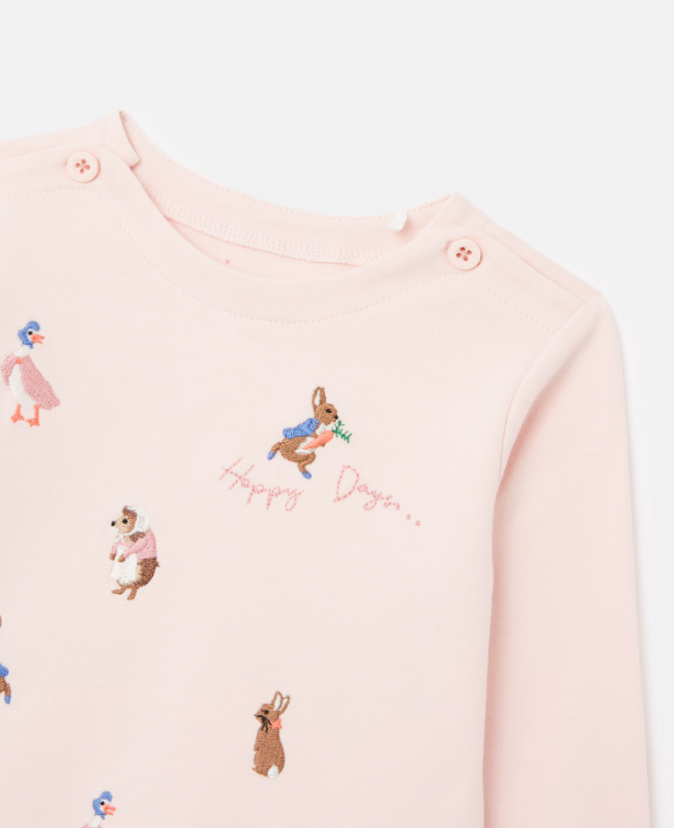 Peter Rabbit Harriet Artwork Top