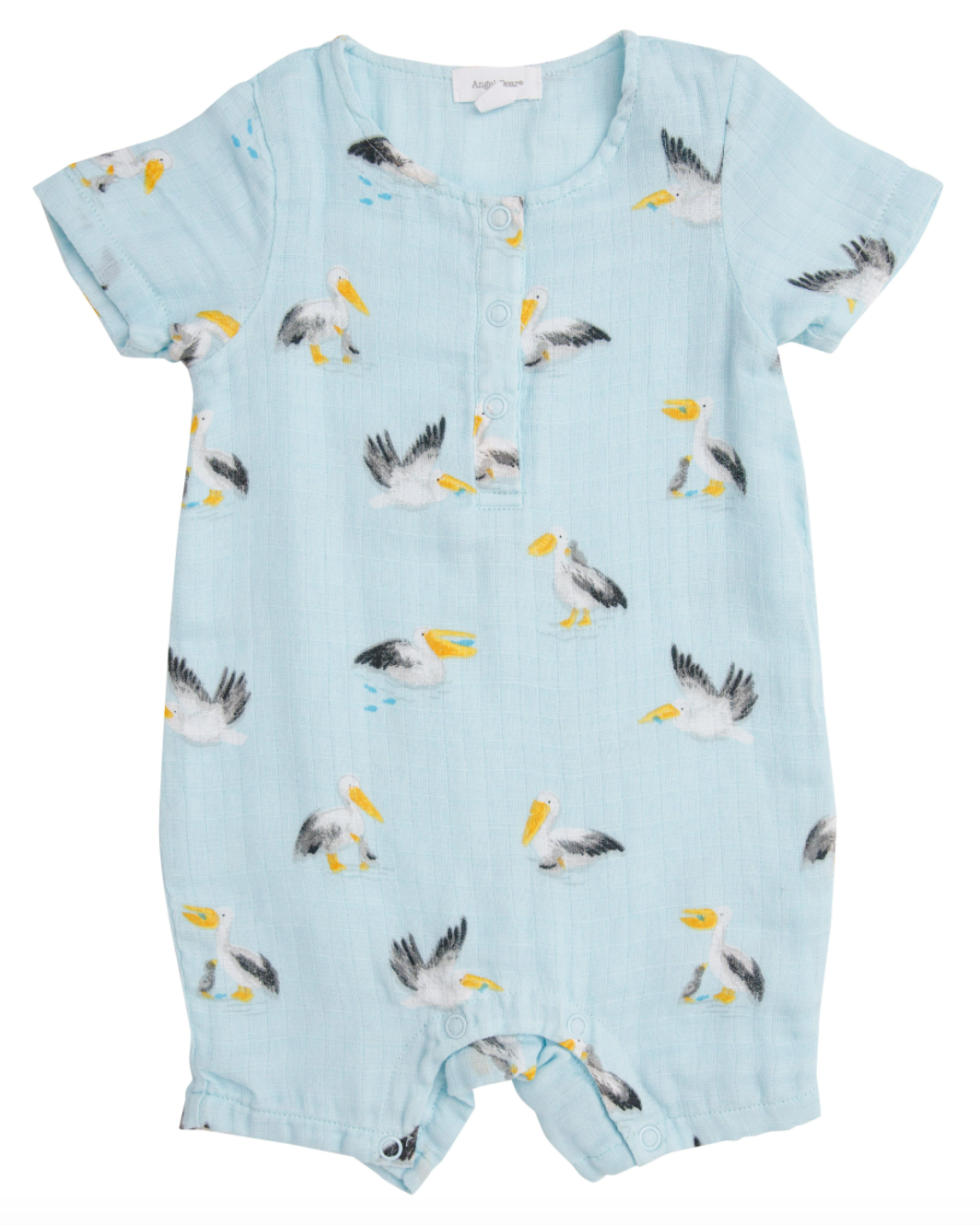 Pelicans Henley Shortall