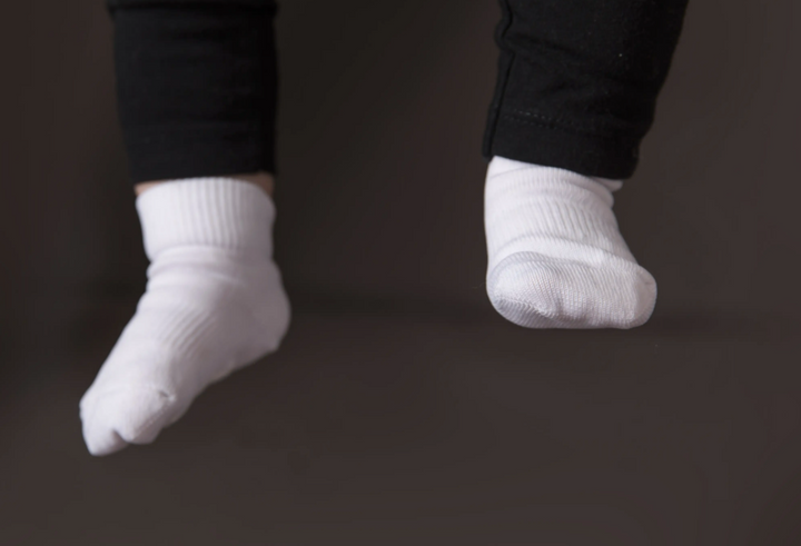 Squid Socks | Corey Collection