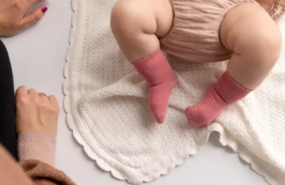 Squid Socks | Cami Collection