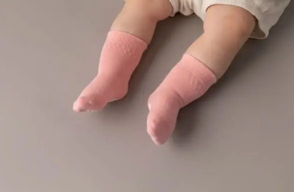 Squid Socks | Cami Collection