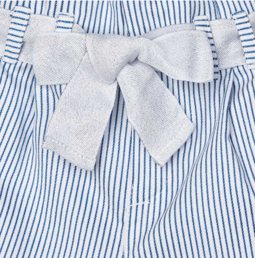 Blue and White Striped Pants | 3549