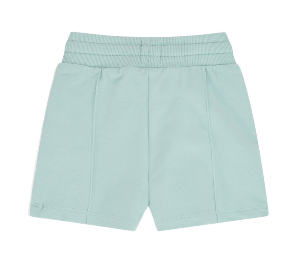 Mint Shorts