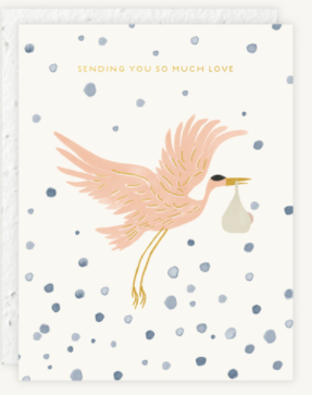 Stork Delivery Card
