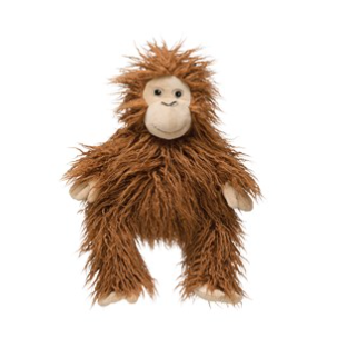 Orangutan