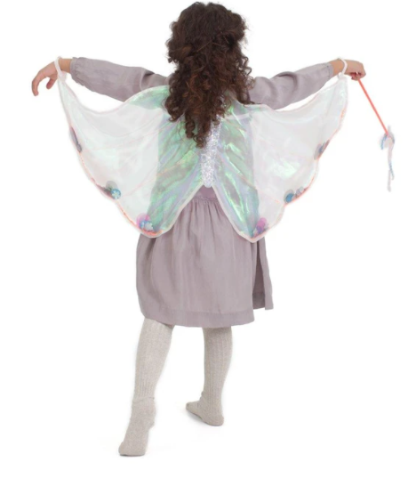 Sequin Butterfly Wings Dress Up