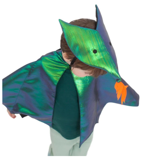 Dragon Cape Costume