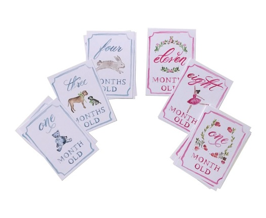 Month by Month Baby Cards | Pink