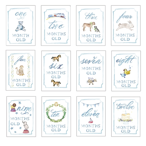 Month by Month Baby Cards | Blue