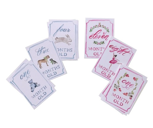 Month by Month Baby Cards | Blue