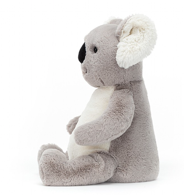 Kai Koala
