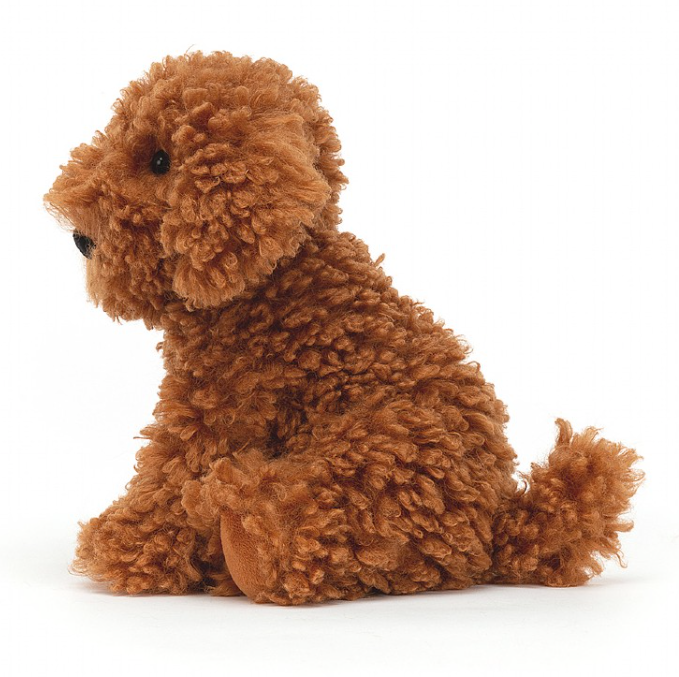 Cooper Doodle Dog