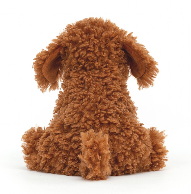 Cooper Doodle Dog
