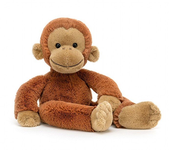 Pongo Orangutan