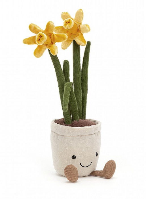 Amuseable Daffodil