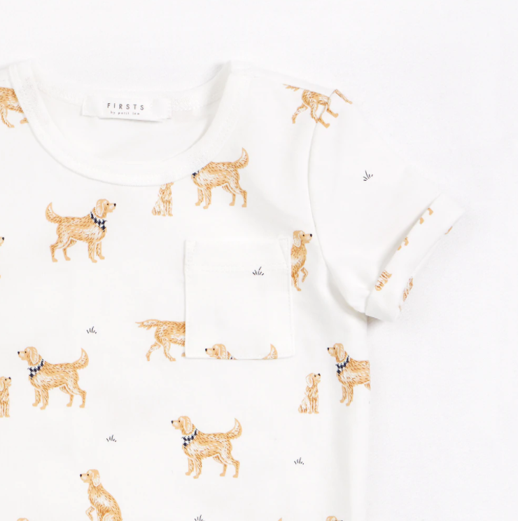 Golden Retriever Outfit Set