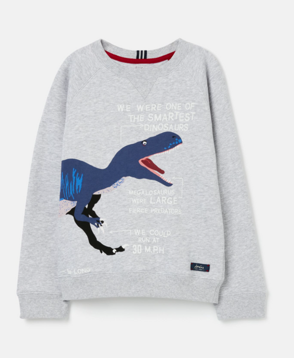 Grey Dino Ventura Sweatshirt