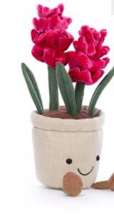 Amuseable Hyacinth