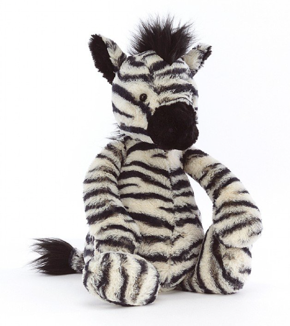 Bashful Zebra