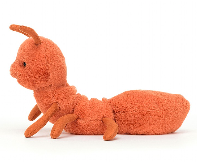 Wriggidig Ant