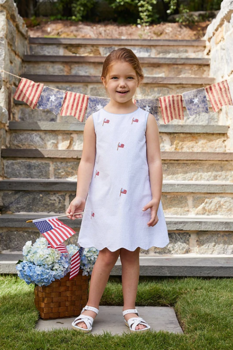 Embroidered Flag Bow Back Dress