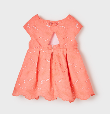 Coral Embroidered Dress | 1918