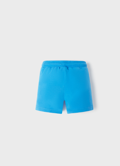 Aqua Basic Fleece Shorts | 621