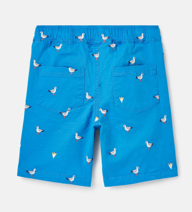 Huey Embroidered Shorts | Blue Goose