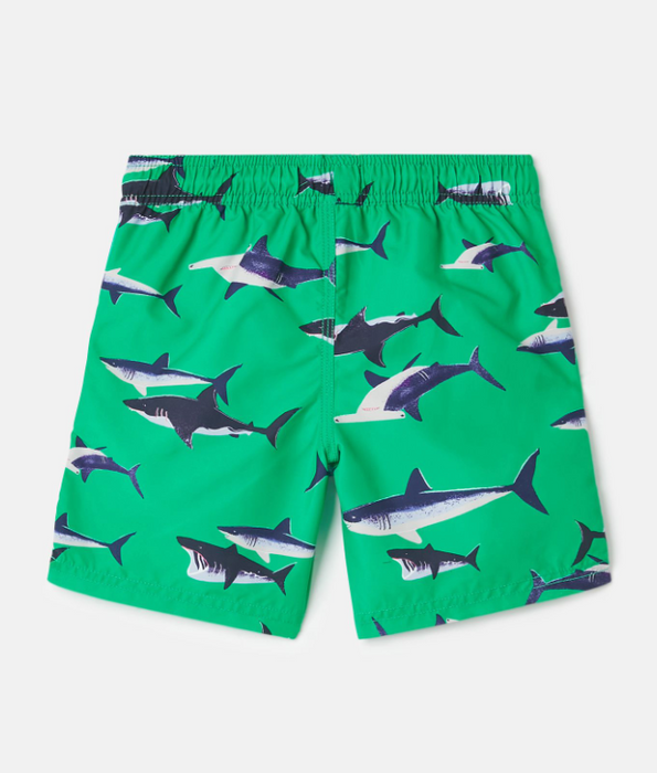 Ocean Swim Shorts | Green Sharks