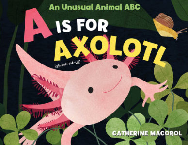 A is for Axolotl An Unusual Animal ABC