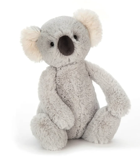 Bashful Koala