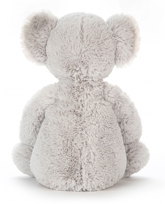 Bashful Koala
