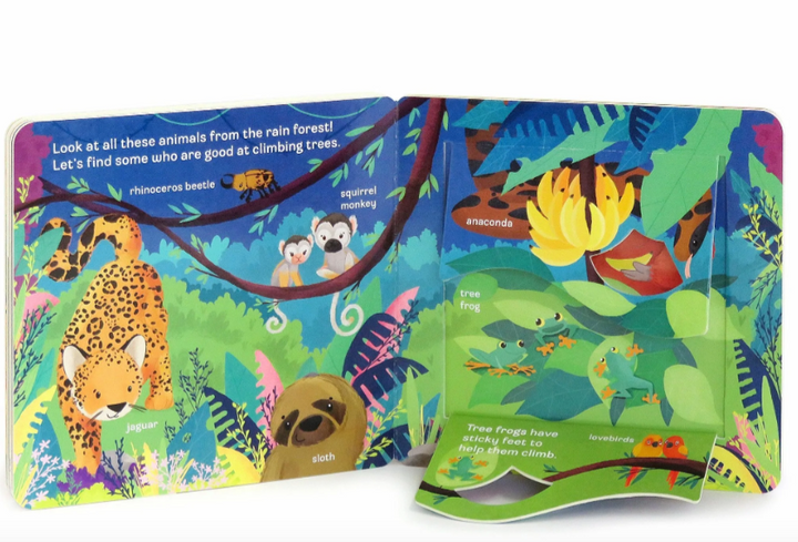 Peek a Flap | Zoo