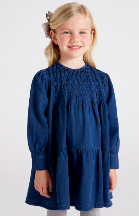 Denim Dress | 4964