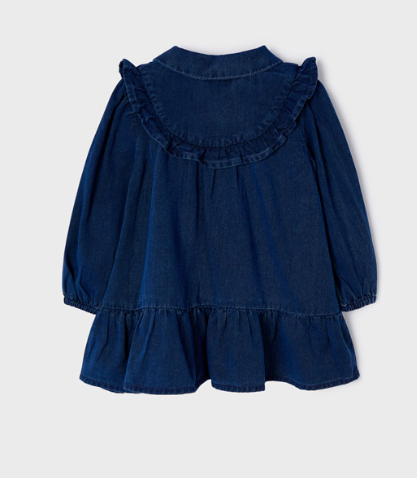 Embroidered Denim Dress | 2960