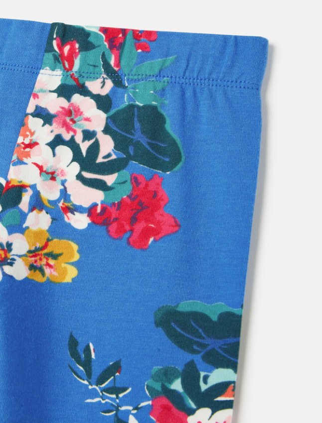 Deedee Printed Legging | Blue Floral