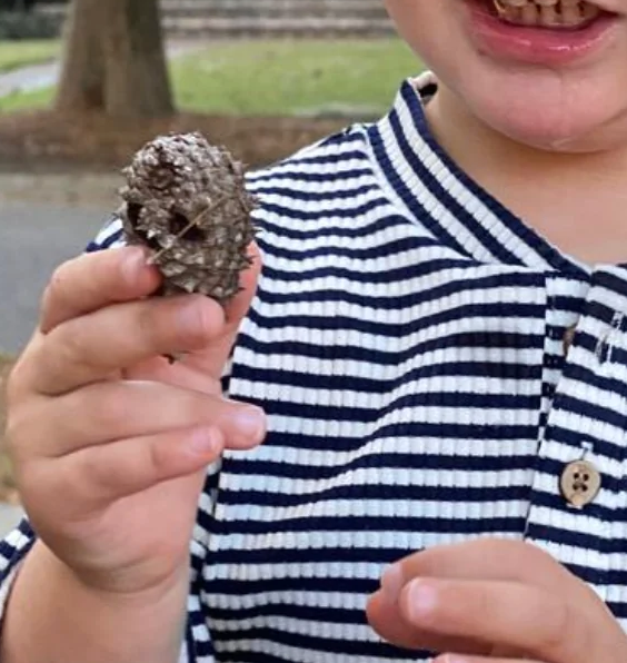 Adams Ribbed Henley | Navy Stripe
