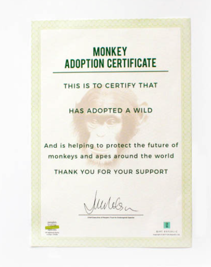 Adopt a Monkey