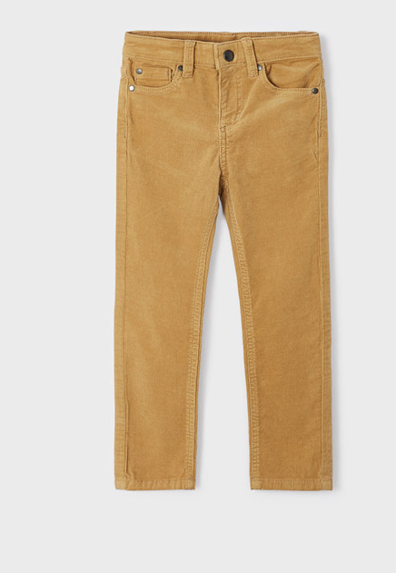 Basic Slim Fit Corduroy Pants| Almond | 537